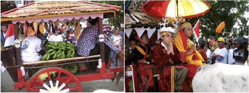 Parade Gerobak Sapi Festival Teluk Jailolo
